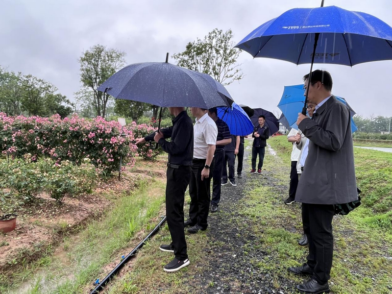 41474362.png 6465ebb07eefd.png