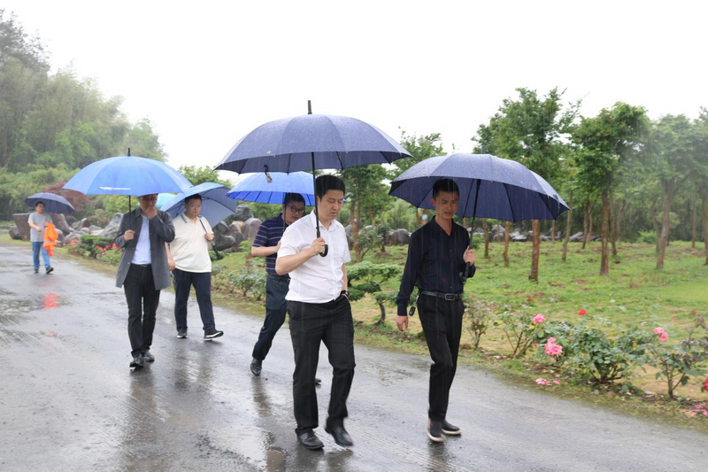 56603859.png 6465eb93bf81f.png