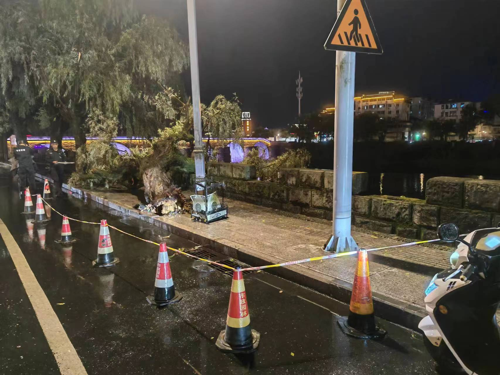 75277113.png 75277113.png