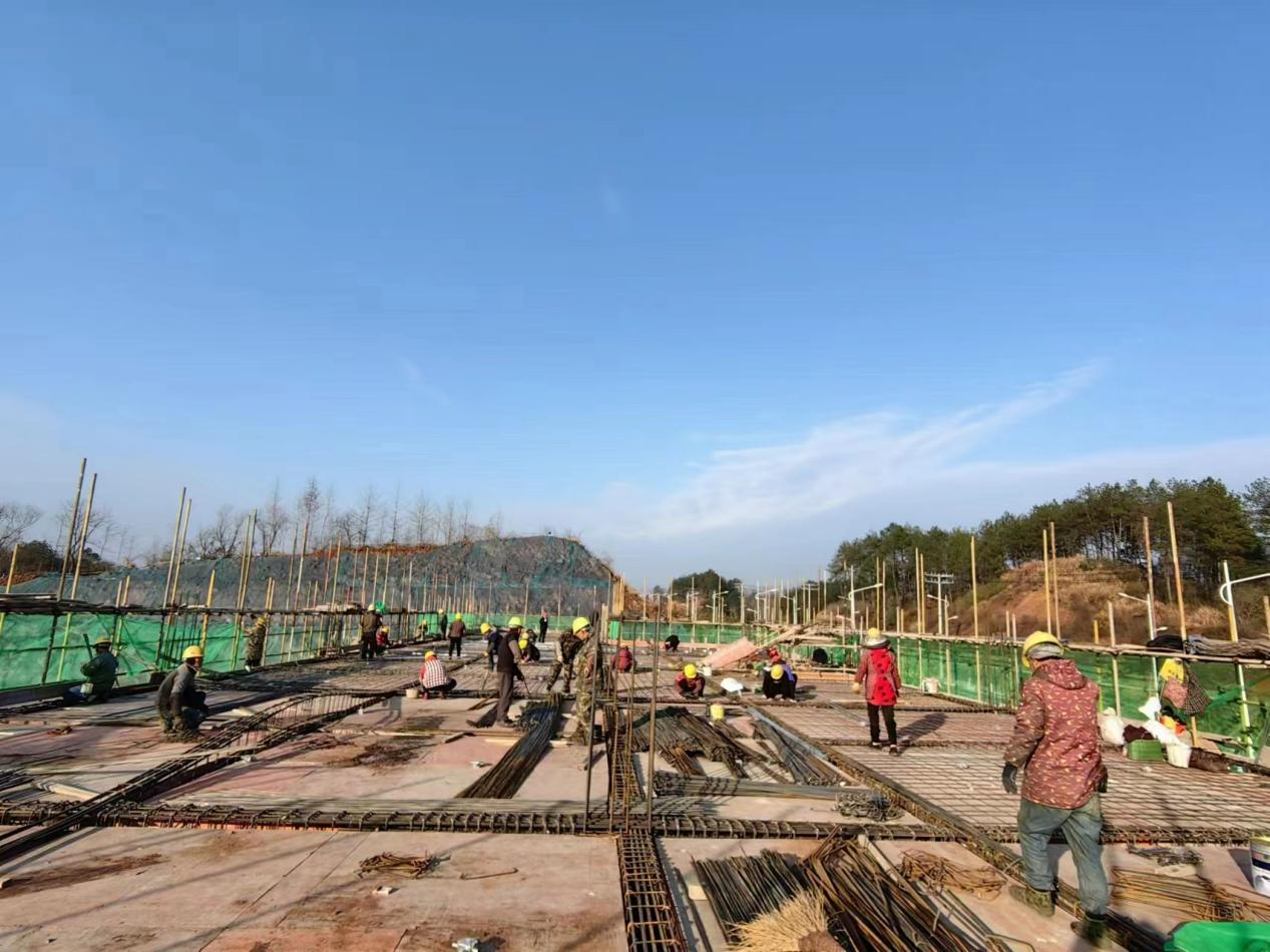 33017924.png 圖片2.png