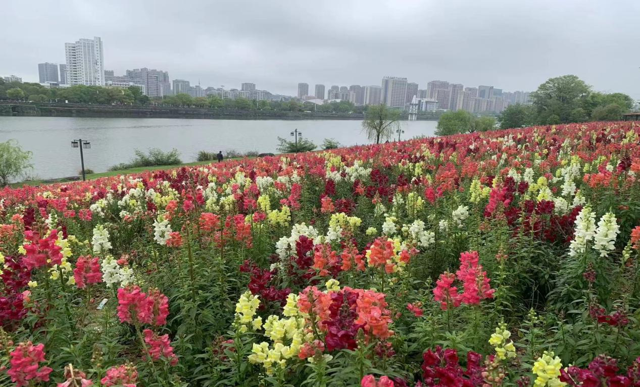 52192636.png 圖片2.png