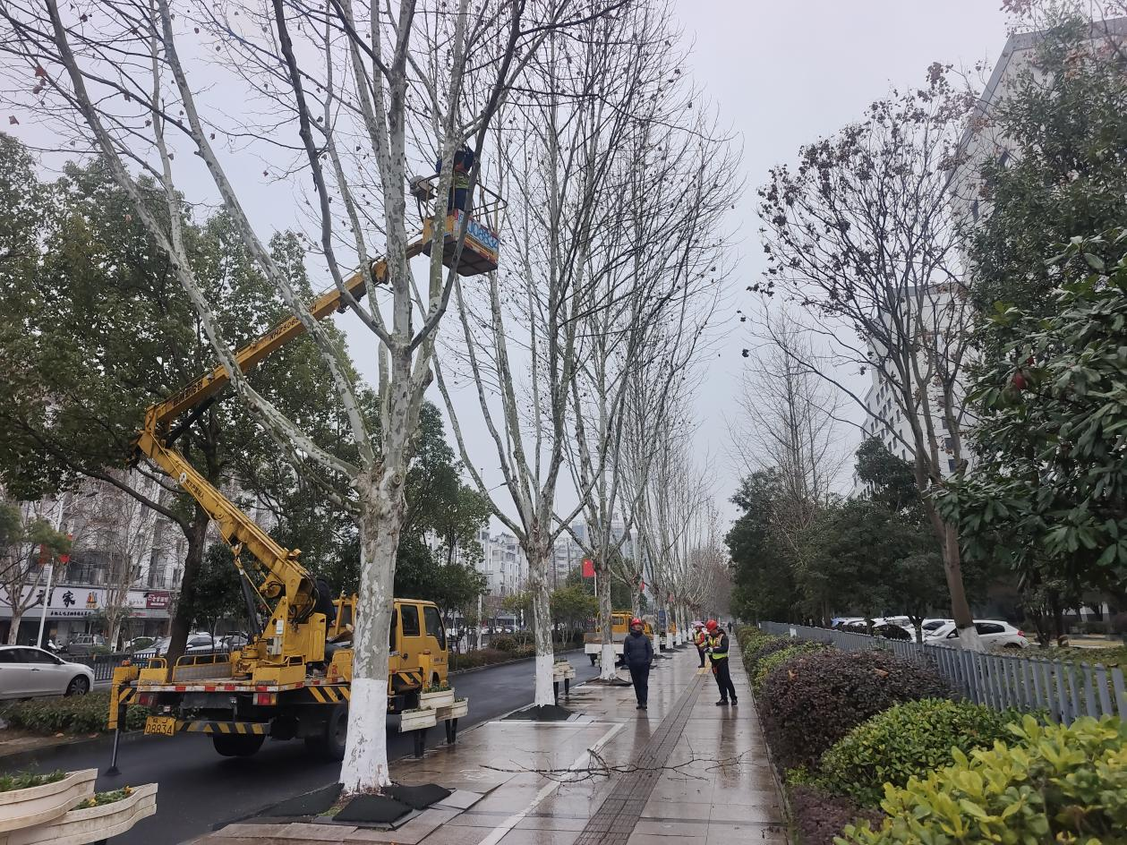 54642801.png 圖片2.png