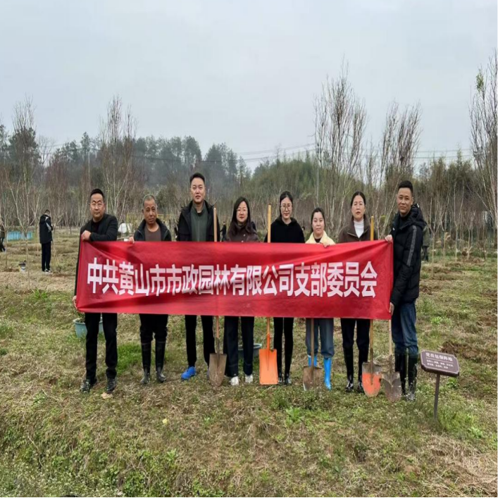 46933460.png 46933460.png