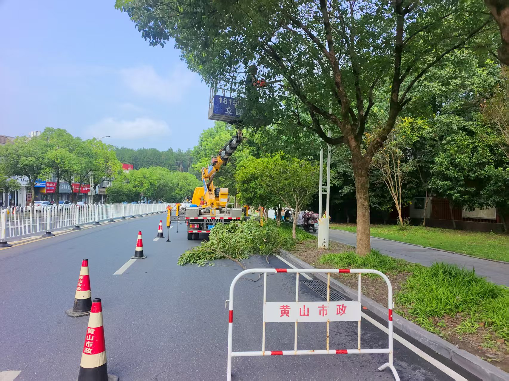 15815833.png 圖片4.png