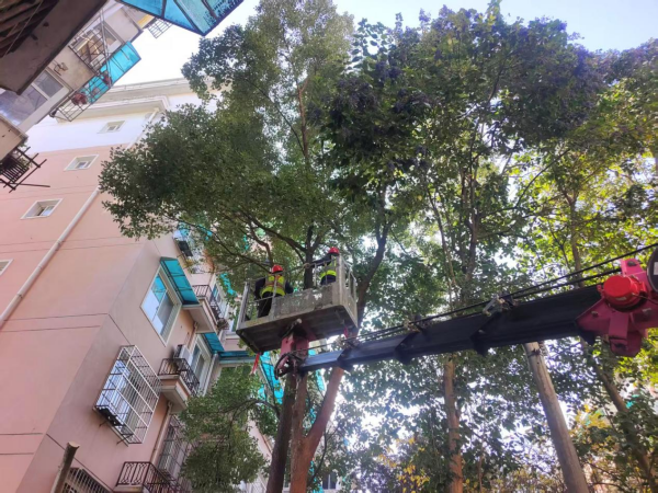 24749173.png 圖片2_副本.png